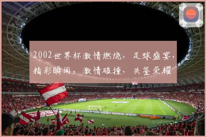 2002世界杯激情燃烧，足球盛宴，精彩瞬间，激情碰撞，共鉴荣耀