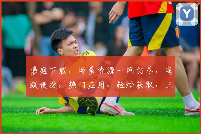 鼎盛下载，海量资源一网打尽，高效便捷，热门应用，轻松获取，三步即可