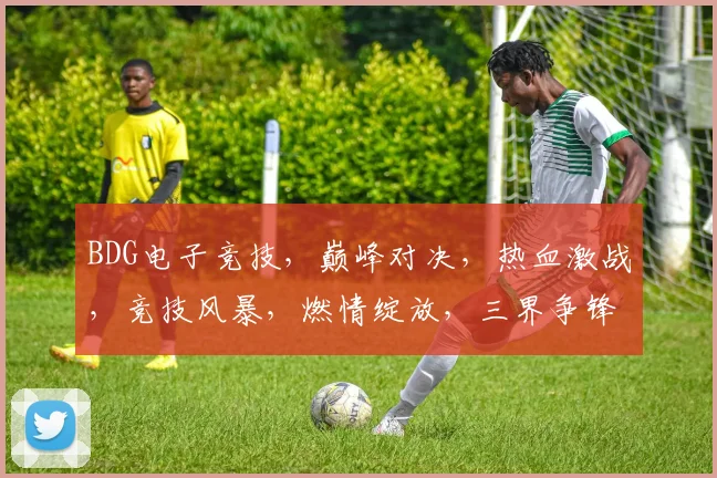 BDG电子竞技，巅峰对决，热血激战，竞技风暴，燃情绽放，三界争锋，一触即发