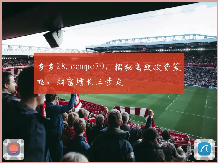 多多28.ccmpc70，揭秘高效投资策略，财富增长三步走